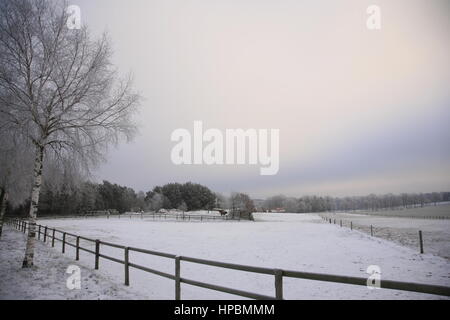 Winterlandschaft bei Bispingen, Lüneburger Heide, Allemagne, Deutschland | Lunebourg en hiver, Basse-Saxe, Allemagne Banque D'Images