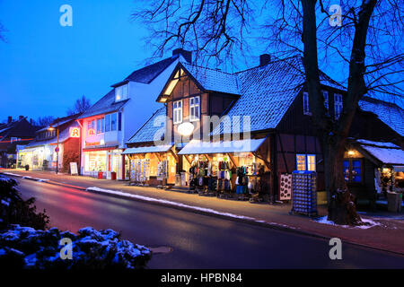 Bispingen, Lüneburger Heide im Winter, Niedersachsen, Deutschland | Lunebourg en hiver, Basse-Saxe, Allemagne Banque D'Images