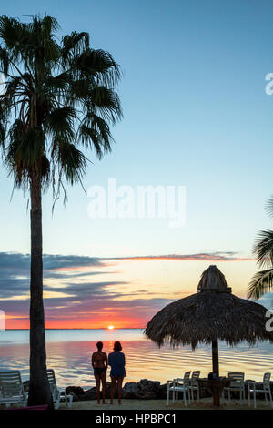 Florida Key Largo, Upper Florida Keys, Gilbert's Resort, Blackwater Sound, front de mer, coucher de soleil, palmier, parasol tiki, silhouette, Sabal Palmetto, chou pal Banque D'Images