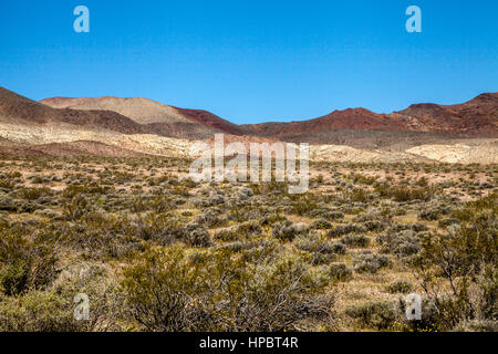 Plain champ, Death Valley National Park, California, USA Banque D'Images