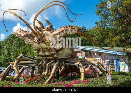 Florida Upper Florida Keys,Islamorada,The Rain Barrel Artisan Village,extérieur,Giant Betsy,le plus grand homard du monde,marqueur de mille 86,sculpture,langoustes épineuses Banque D'Images