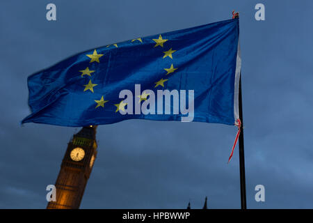 Londres, 20 février 2017 : Un drapeau de l'UE est agité devant le parlement britannique le gouvernement britannique d'un débat nous Président Donald Trump dans le cadre de sa visite officielle au Royaume-Uni, des milliers de manifestants se sont réunis en grand nombre contre le voyage qui pourrait coûter des millions de livres dans la sécurité seul. Cette visite intervient après deux pétitions en ligne a reçu plus de 100 000 les signatures requises pour qu'un tel débat d'être examinée par le Parlement. Une pétition contre la visite d'état obtenu 1,85m signatures, tandis que l'un des elle a obtenu 311 000. Copyright Richard Baker / Alamy Live News. Banque D'Images