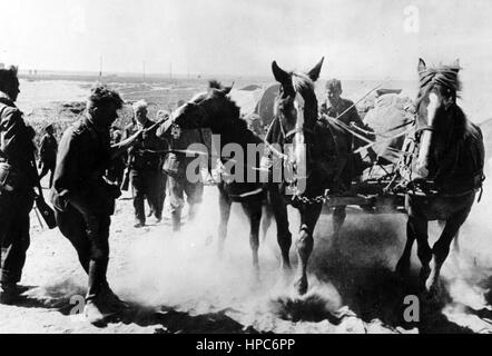 L'image de propagande nazie montre des membres de la Wehrmacht allemande sur la steppe eurasienne sur l'avance vers Stalingrad (aujourd'hui Volgograd). Pris en septembre 1942. Un journaliste d'état nazi a écrit au contraire de la photo sur 05.09.1942, "et après malgré la chaleur et la poussière. Images de la région de Steppe au sud-ouest de Stalingrad.' Fotoarchiv für Zeitgeschichte - PAS DE SERVICE DE FIL - | utilisation dans le monde entier Banque D'Images