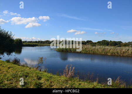 Vue au bord de l'eau à Westhay Moor National Nature Reserve Banque D'Images