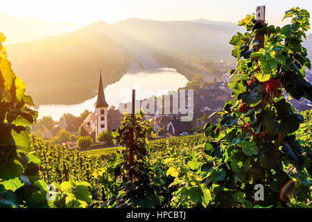 Lever du soleil sur la rivière Moselle bend sur le village Bremm Banque D'Images