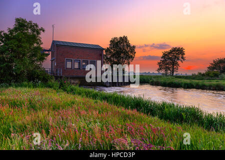 Coucher de soleil sur une prairie près de l'Weener Banque D'Images