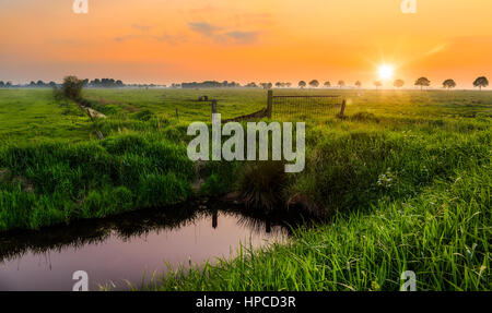 Coucher de soleil sur une prairie près de l'Weener Banque D'Images