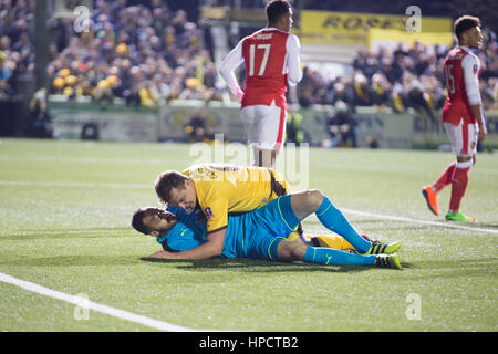 Sutton, Royaume-Uni. Feb 20, 2017. Battre Arsenal Sutton United 2-0 dans le cinquième tour de la FA Cup, avec Sutton United en direction de la cinquième ronde pour la première fois dans l'histoire des clubs. Crédit : Louise Wateridge/Pacific Press/Alamy Live News Banque D'Images