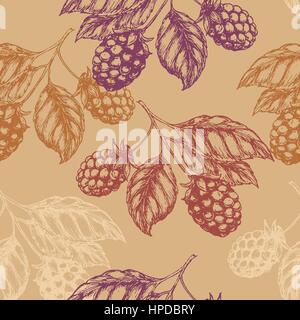 Blackberry pettern framboise transparente. Vector illustration Illustration de Vecteur