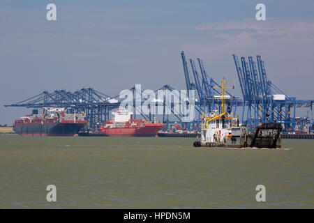 Une ligne de navires porte-conteneurs et vraquiers cargo amarré à Felixstowe port à conteneurs, déchargés ou chargés, avec un remorqueur dans l'avant-plan. Banque D'Images