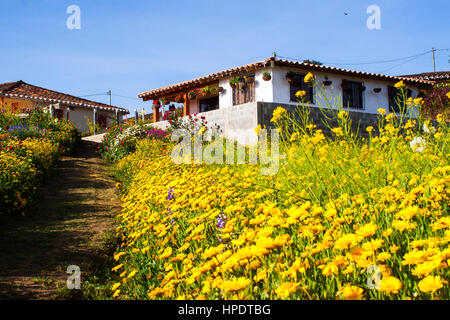 Une maison au milieu de fleurs dans un village près de Santa Elena Medellín où les agriculteurs cultivent des fleurs toute l'année pour le montrer spécialement au cours de la 'silleter Banque D'Images