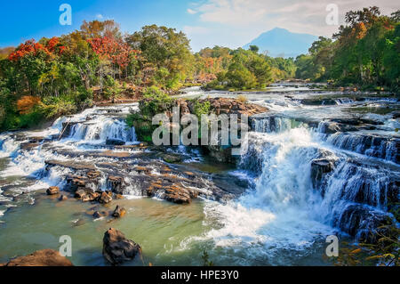 Belle cascade de Tad Lo sur le Plateau des Bolavens au Laos Banque D'Images