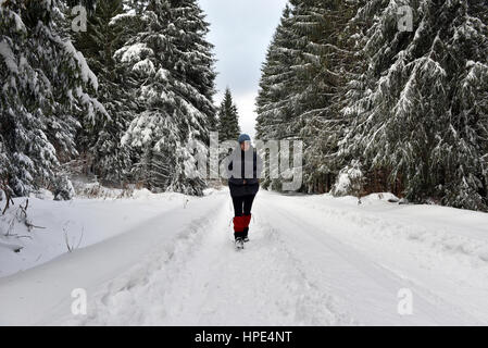 Femme de marcher seul dans les forêts d'hiver Banque D'Images