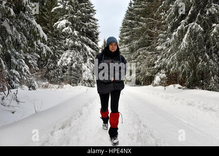 Femme de marcher seul dans les forêts d'hiver Banque D'Images