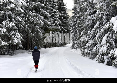 Femme de marcher seul dans les forêts d'hiver Banque D'Images