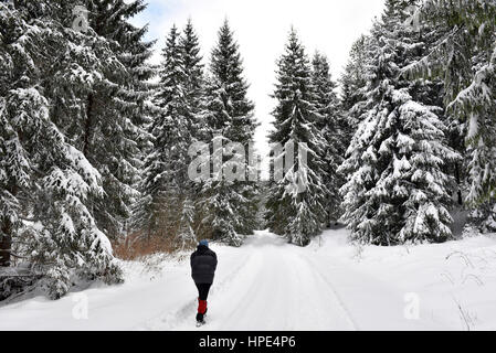 Femme de marcher seul dans les forêts d'hiver Banque D'Images