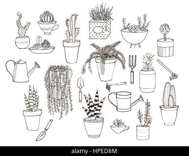 Ensemble d'images dessinées à la main avec des plantes en pots et d'outils. Nettoyer la conduite convenable pour repaining l'art et des livres de coloriage. Banque D'Images