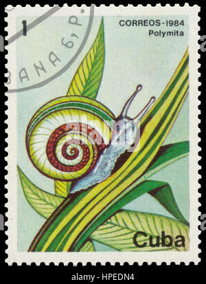 BUDAPEST, HONGRIE - 19 février 2017 : timbres en Cuba montre une série d'images de la flore des cubes, version 1984, Banque D'Images