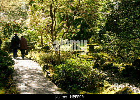 Jardin japonais à Butchart Gardens au printemps Banque D'Images