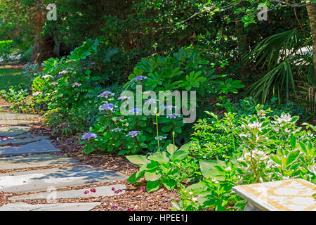 Jardin d'ombre en Caroline du Sud Banque D'Images