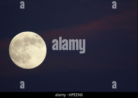 La pleine lune a pu être vue aujourd'hui avant anocecer sur le ciel à l'est de la ville d'Hermosillo, Sonora.Earth satellite lune vue sur le Sonora Mex Banque D'Images