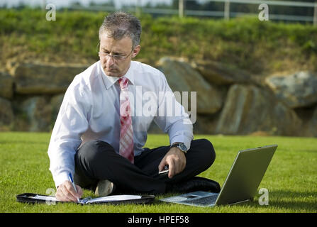 Parution , Geschaeftsmann modèle sitzt mit der Wiese - Ordinateur portable en businessman sitting in meadow and using laptop Banque D'Images