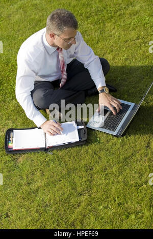 Parution , Geschaeftsmann modèle sitzt mit der Wiese - Ordinateur portable en businessman sitting in meadow and using laptop Banque D'Images