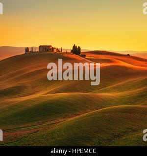 La toscane, paysage rural dans la région de Crete Senesi terre. Collines, campagne ferme, cyprès, arbres champ vert chaud sur le coucher du soleil. Sienne, Italie, Europe. Banque D'Images