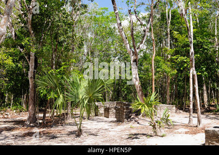 Coba - Ville précolombienne des Mayas sur la péninsule d'Jukatan Banque D'Images