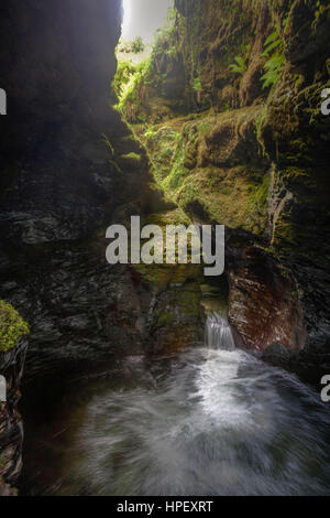 Lynford Gorge située dans le Dartmoor National Park, Devon, Angleterre, Royaume-Uni, Europe Banque D'Images