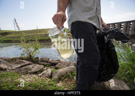 L'eau du lac Okeechobee échantillon pendant une éclosion algues bleu-vert en Floride Banque D'Images