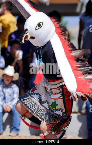 Eagle dancer, huit le nord de Pueblos Arts & Crafts Show, Ohkay Owingeh, San Juan Pueblo, New Mexico USA Banque D'Images