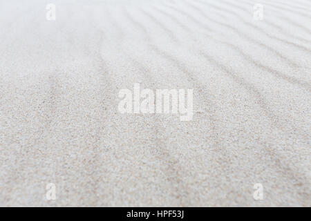 Sable de mer avec focus sélectif en noir et blanc Banque D'Images