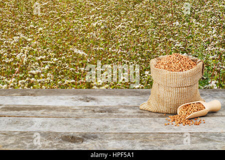 Le sarrasin dans sac de toile sur table en bois avec champ de sarrasin floraison arrière-plan. Le sarrasin. L'agriculture et de la récolte. Le sarrasin crus Banque D'Images