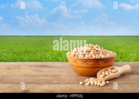 Grains de pois chiches dans un bol en céramique. Le pois chiche dans un bol sur la table avec domaine de pois chiches sur l'arrière-plan. L'agriculture et la récolte concept Banque D'Images