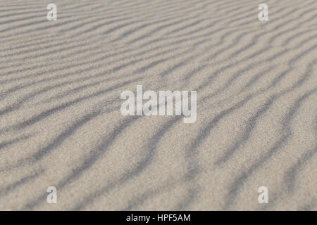 Petites dunes de sable de la mer au coucher du soleil la lumière avec effet de perspective Banque D'Images