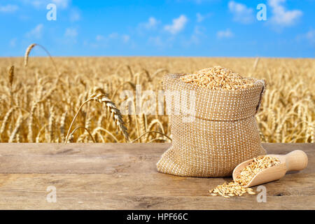 Les grains de blé en sac. Germes de blé en sac sur table avec champ d'or sur l'arrière-plan. L'agriculture et de la récolte. Champ de blé d'or Banque D'Images