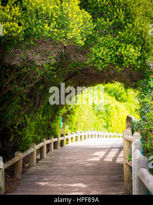 Promenade à travers la nature d'archway vert Banque D'Images