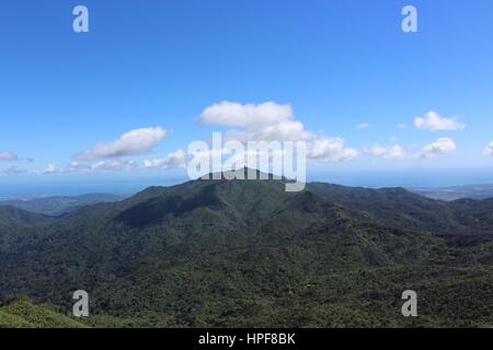 El Yunque Banque D'Images