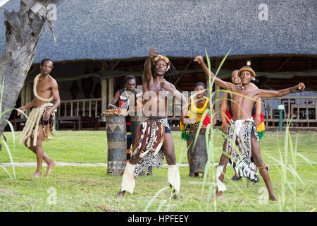 La danse traditionnelle pour les touristes, Victoria Falls, Zimbabwe Banque D'Images