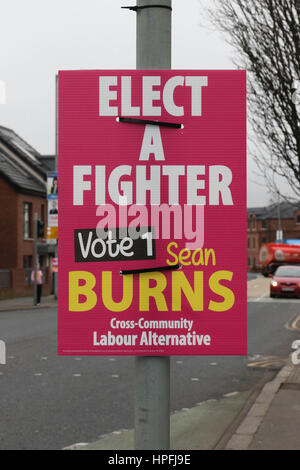 Belfast, Irlande du Nord. Feb 21, 2017. Une journée grise dans le sud de Belfast avec des affiches électorales en couleur. Avec seulement neuf jours avant l'élection d'Irlande du Nord 2017 Les affiches sont en place. Crédit : David Hunter/Alamy Live News Banque D'Images