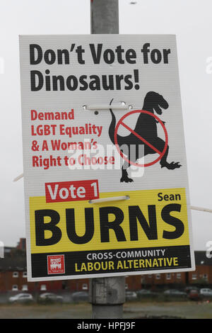 Belfast, Irlande du Nord. Feb 21, 2017. Une journée grise dans le sud de Belfast avec des affiches électorales en couleur. Avec seulement neuf jours avant l'Assemblée d'Irlande du Nord elections 2017 Les affiches sont en place. Crédit : David Hunter/Alamy Live News Banque D'Images