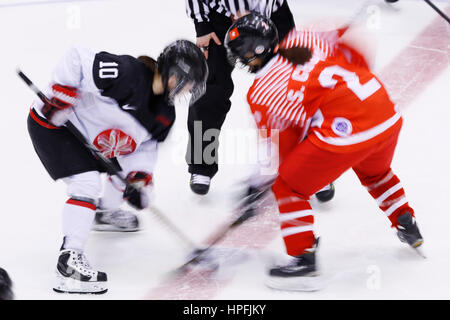 Hokkaido, Japon. Feb 21, 2017. Face off : Hockey sur glace tournoi femmes match entre Hong Kong - Japon au cours de la 2017 Jeux Asiatiques d'hiver à Sapporo Sapporo Tsukisamu Gymnasium à Hokkaido, Japon . Credit : Yohei Osada/AFLO SPORT/Alamy Live News Banque D'Images