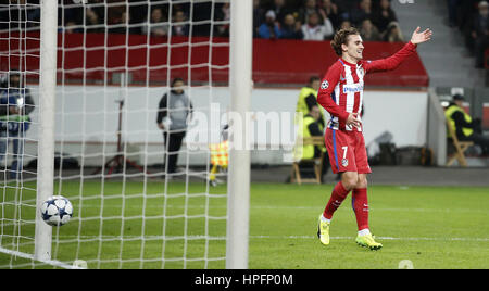 Leverkusen, Allemagne . Feb 21, 2017. Antoine Griezmann (Atletico Madrid) célèbre la notation 2:o but durant le match de la Ligue des Champions entre Bayer 04 Leverkusen et de l'Atlético Madrid, Bayarena à Leverkusen le 21 février 2017. | Verwendung weltweit Credit : dpa/Alamy Live News Banque D'Images