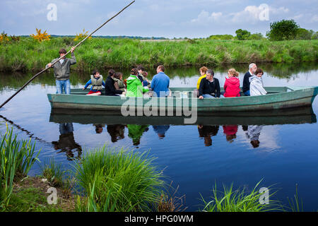 Barge avec les touristes, près de Port de Breca, parc naturel régional de la Brière, Loire Atlantique, Pays de Loire, France Banque D'Images