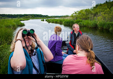 Barge avec les touristes, à la recherche d'oiseaux, près de Port de Breca, parc naturel régional de la Brière, Loire Atlantique, Pays de Loire, France Banque D'Images