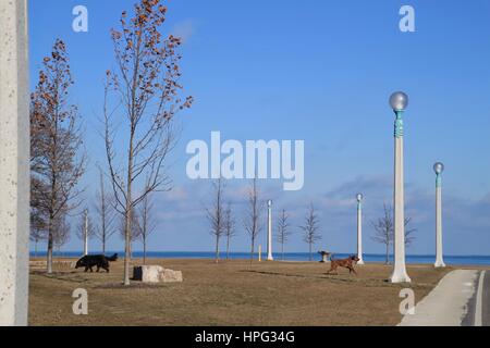 Vu chien jouant sur le Lac Michigan Lac en avant avec scène d'hiver dans le parc entre les gros rochers, arbres dénudés et éclairage intéressant posts Banque D'Images