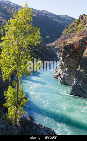 Cromwell, Otago, Nouvelle-Zélande. Les eaux turquoise de la rivière Kawarau se précipiter à travers le Kawarau Gorge en aval des chutes Roaring Meg. Banque D'Images