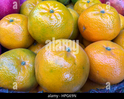 Népal la chaux ou mandarin orange sur l'écran. Banque D'Images