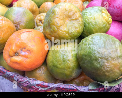 Népal la chaux ou mandarin orange sur l'écran. Banque D'Images